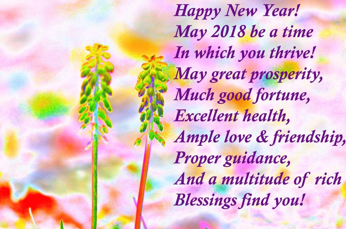 #1 New Year Wish 2018