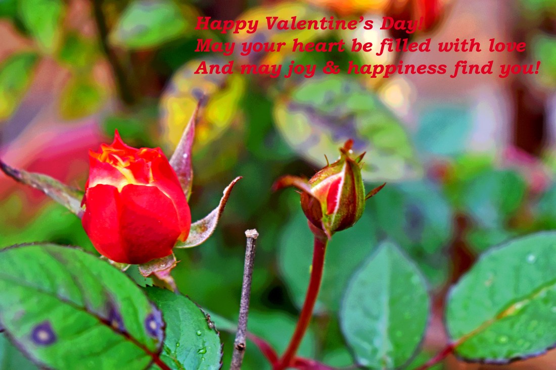 2018.02.14 Valentine's Greeting