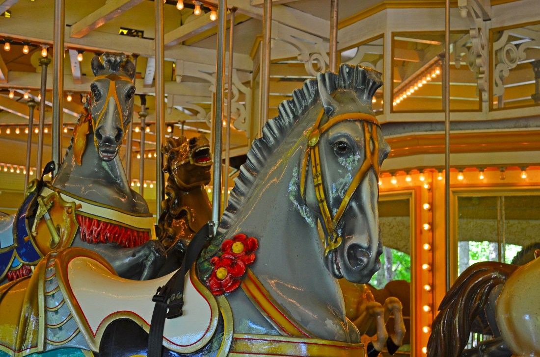 Carousel Horses