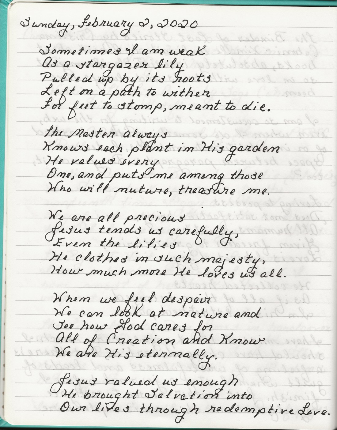 2020-02-02_Stargazer