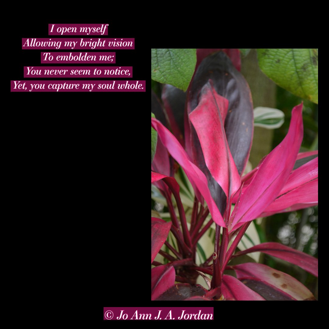 2020.02.12 Open soul