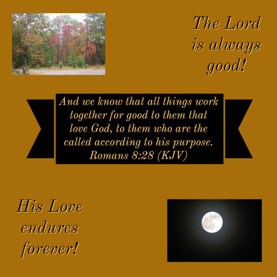 2020_03_16 Romans 8-28