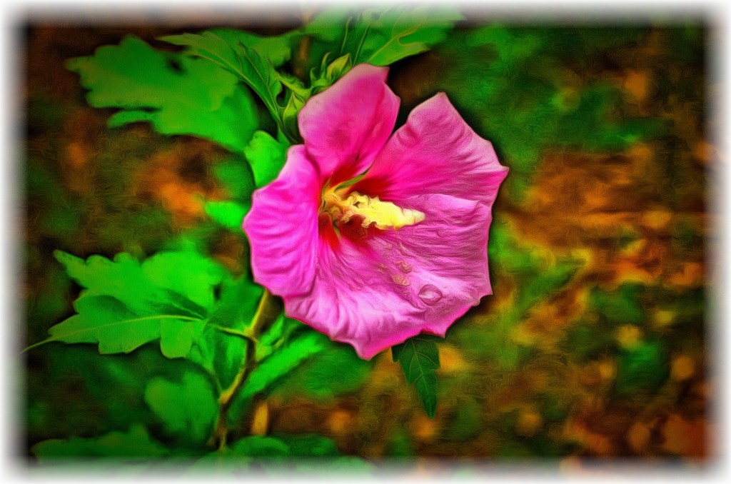 2020.06.16 Shrub Flower edit rr