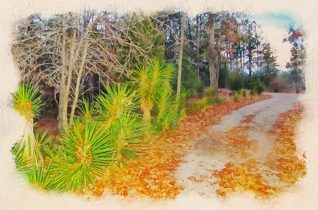 2020.06.22 Road Away edit