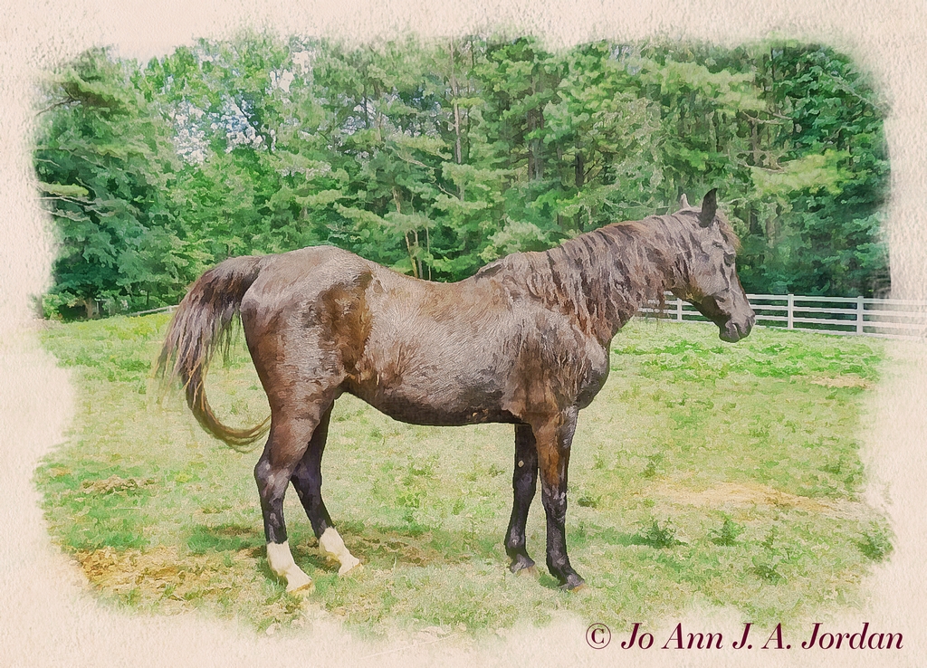 2020.07.01 Sinbad resized