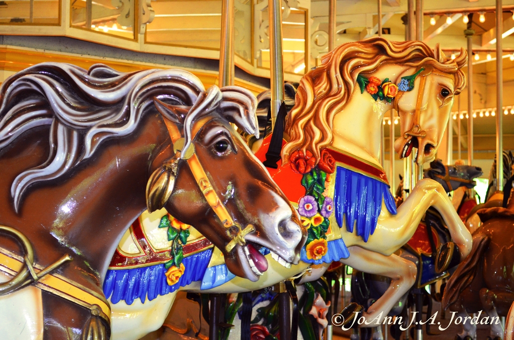 2020.07.04 Carousel Horses rr