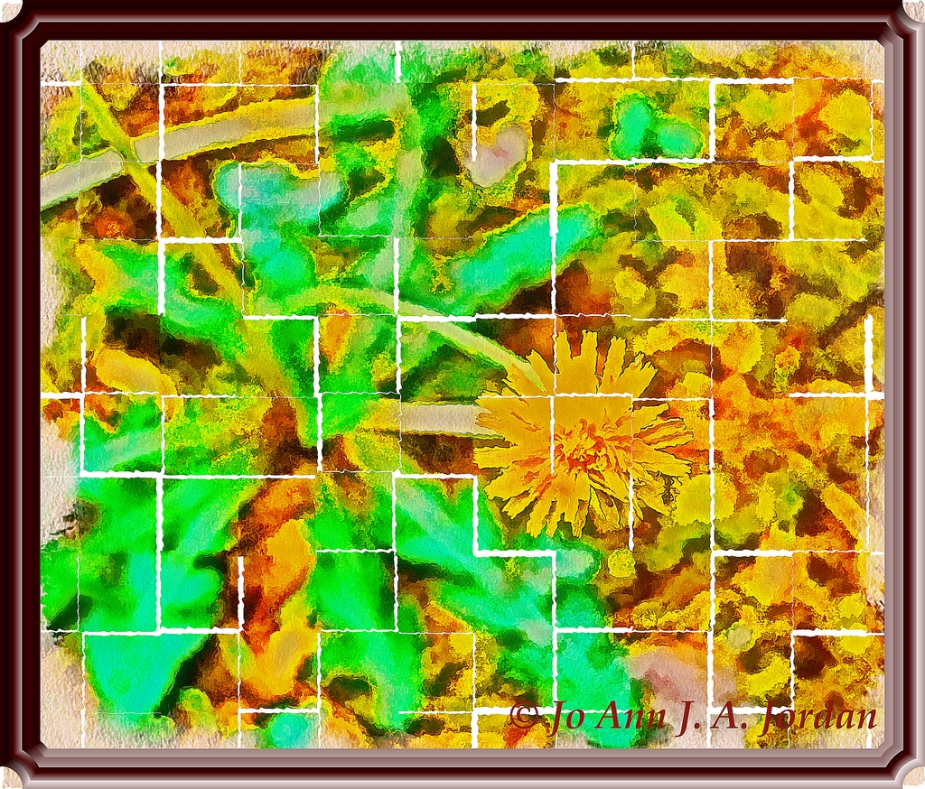 2020.07.13 Dandelion for YF rr