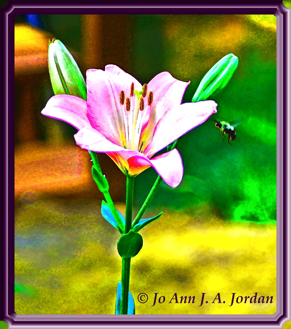 2020.08.04 Lily and Bee rr