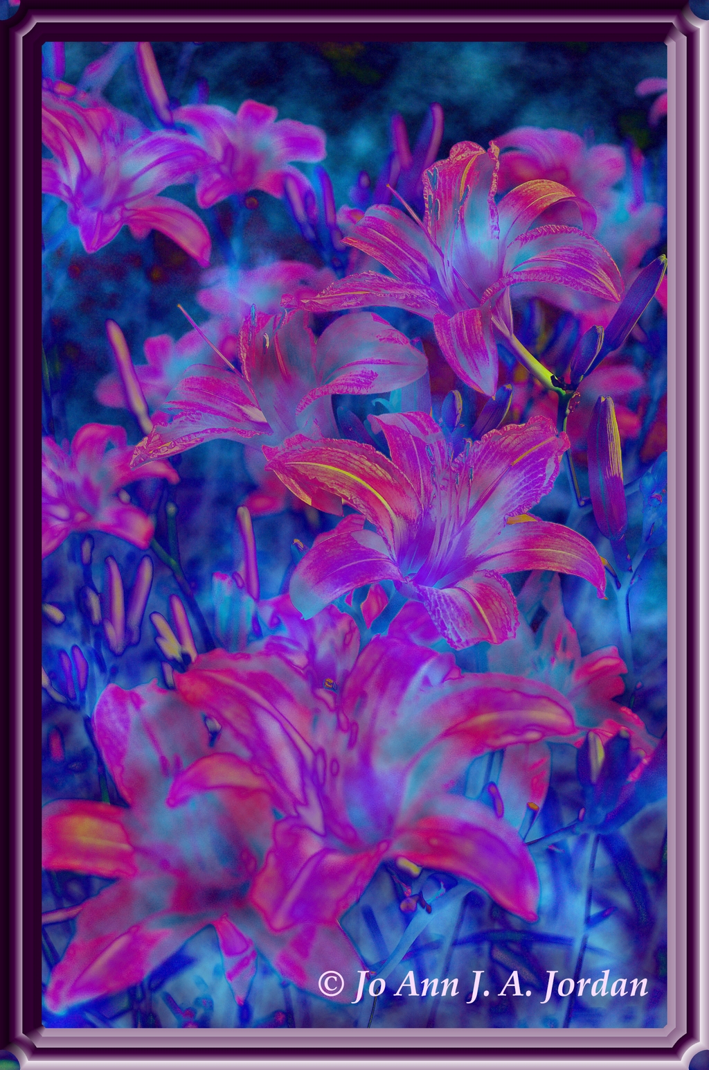 2020.08.10 Lilies Orange rr